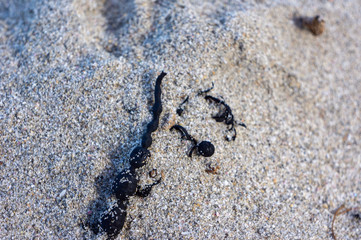 Sand