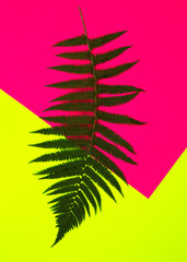 Green fern branches on multi-colored background. Pop-op style.