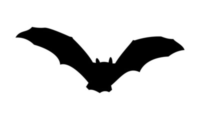 Fledermaus Silhouette