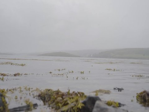 Steineh&uuml;pfen - Steine flitschen - Steine &uuml;bers Wasser h&uuml;pfen lassen am See in Irland diesiges Wetter in Zeitlupe