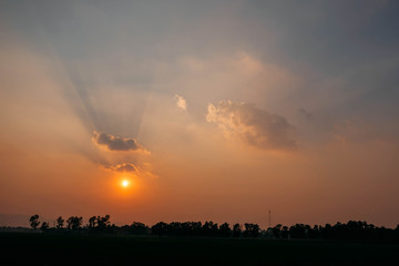 Fototapeta premium sunset over the field