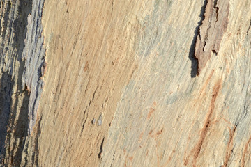 背景用木目模様と樹皮
