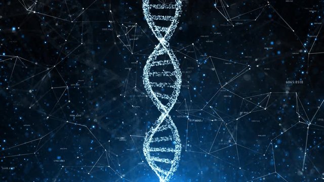 Abstract digital rotating dna molecule on futuristic computer cyberspace network copy space animation background.