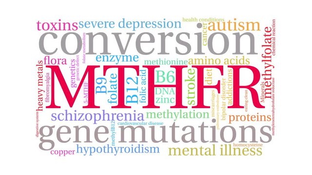 MTHFR Animated Word Cloud on a white background. 