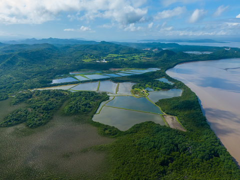 Beautiful aerial view of the Tempisque river and the Amistad bridge in Costa Rica