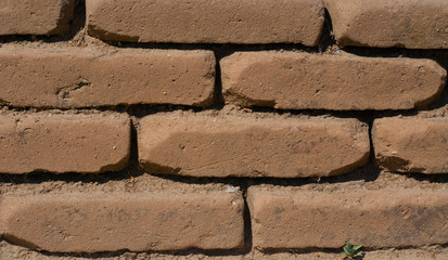 Bricks