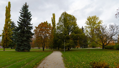 Autumn in a park