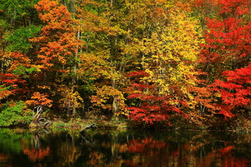 紅葉の八幡平