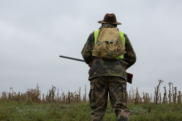 Hunting period, autumn season open. A hunter with a gun in his hands in hunting clothes in the autumn forest in search of a trophy. A man stands with weapons and hunting dogs tracking down the game.	