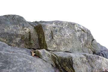 stone Rock cliff isolated on white background.