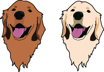 Golden retriever dog in two different colors head portrait cartoon beautiful dog - obrazy, fototapety, plakaty