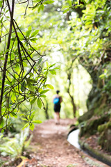 brave woman trekking hiking  in Madeira island routes