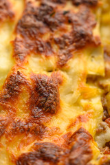Obraz na płótnie Canvas italian lasagna, close-up.texture.macro