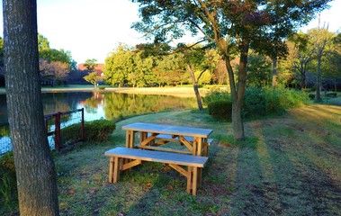 Obraz premium Staw stołowy krzesło las jesień drewno