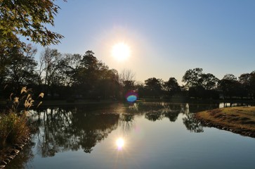 Obraz premium 夕景 空 池 秋 杤木