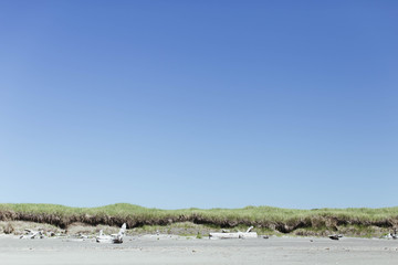 Ocean Shores