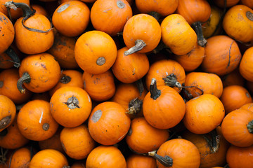 Tiny Pumpkins