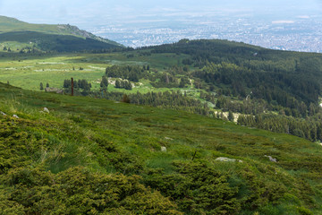Obraz premium Amazing Summer landscape of Vitosha Mountain, Bulgaria