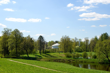 Obraz premium Summer landscape in the city park