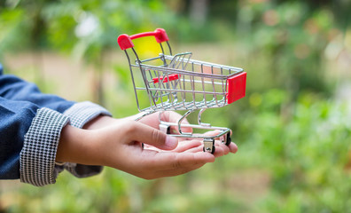Toy shopping cart in female hand, Consumer society trend concept.