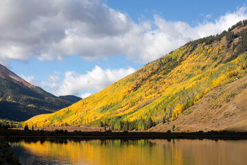 Beautiful Fall Foliage in Northern Colorado	