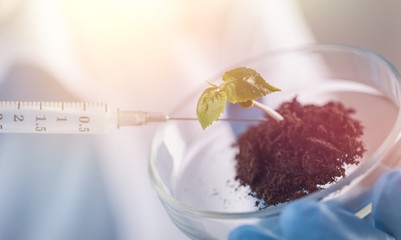 Hand holding syringe and vaccine.