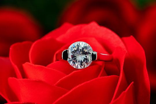 Diamond wedding rings on red roses