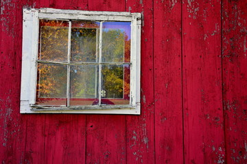 red barn, window, old, reflection, fall,  autumn, mirror, leave folliage,s, wooden wall, , color, red, 