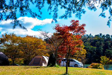 志高湖の紅葉