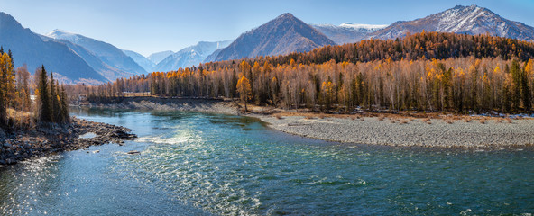 Wild Katun river in Altai mountains. Siberia nature, autumn view. Panorama landscape.