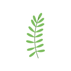 green branch leaves foliage nature icon