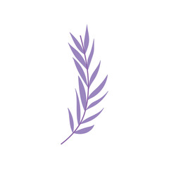 purple branch leaves foliage nature icon