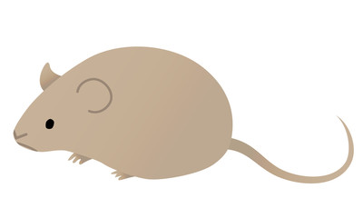 Illustration of a cute mouse