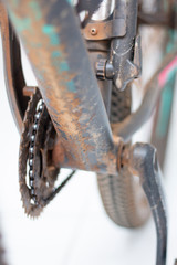 Mountain Bike detail after a trail.