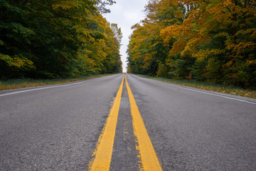 Carretera rodeada de árboles en otoño en Michigan