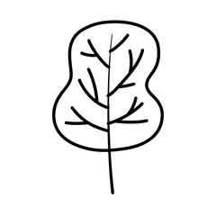 autumn tree forest foliage natural thick line