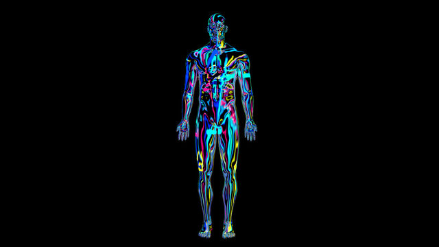 x-ray humain body colorful, humain body scan