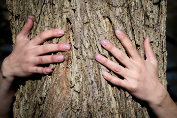 Close-up of Woman's Hands embracing a Tree Trunk in the Forest. Tree hugging. Back to Nature concept. Touch and Love the Nature.