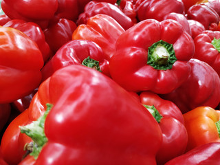 set of Bulgarian red pepper closeup