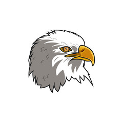 eagle head illustration in white  background