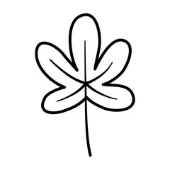 autumn leaf nature foliage on white background thick line