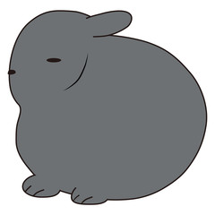 ウサギ