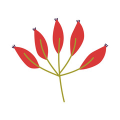 decorative nature foliage leaves branch icon