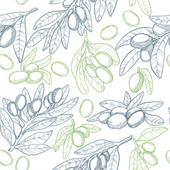Vector seamless pattern in outline with green and blue olive brunches on white background. Linocut olive repeated background. Hand drawn illustration backdrop. Organic sketches elements.