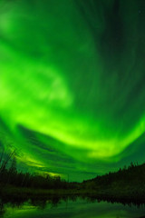 カナダ　イエローナイフ郊外のオーロラ　Aurora of Yellowknife, Canada