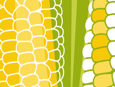 Abstract vegetable design in flat cut out style. Close up image of corn on the cob. Vector illustration.