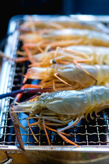 Close up group of fresh shrimps prawns grilling on rack charcoal stove. cooking seafood bbq party camping outdoor.