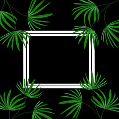 Green leaves pattern with white frame for nature concept,tropical leaf tree isolated on black background