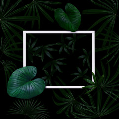 Green leaves pattern with white frame for nature concept,tropical leaf  tree textured background