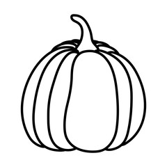 pumpkin vegetable fresh autumn on white background thick line
